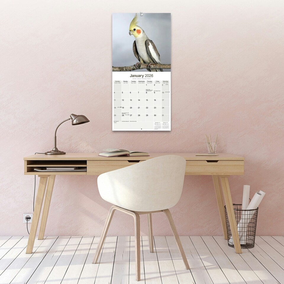 image 1 of Cockatiels 2026 Calendar | Square Wall Calendar | Bird Gift | Plastic Free Packaging | by Avonside Publishing