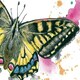 image 3 of Butterfly Wildlife Greeting Card - By Artist Lizze Grant