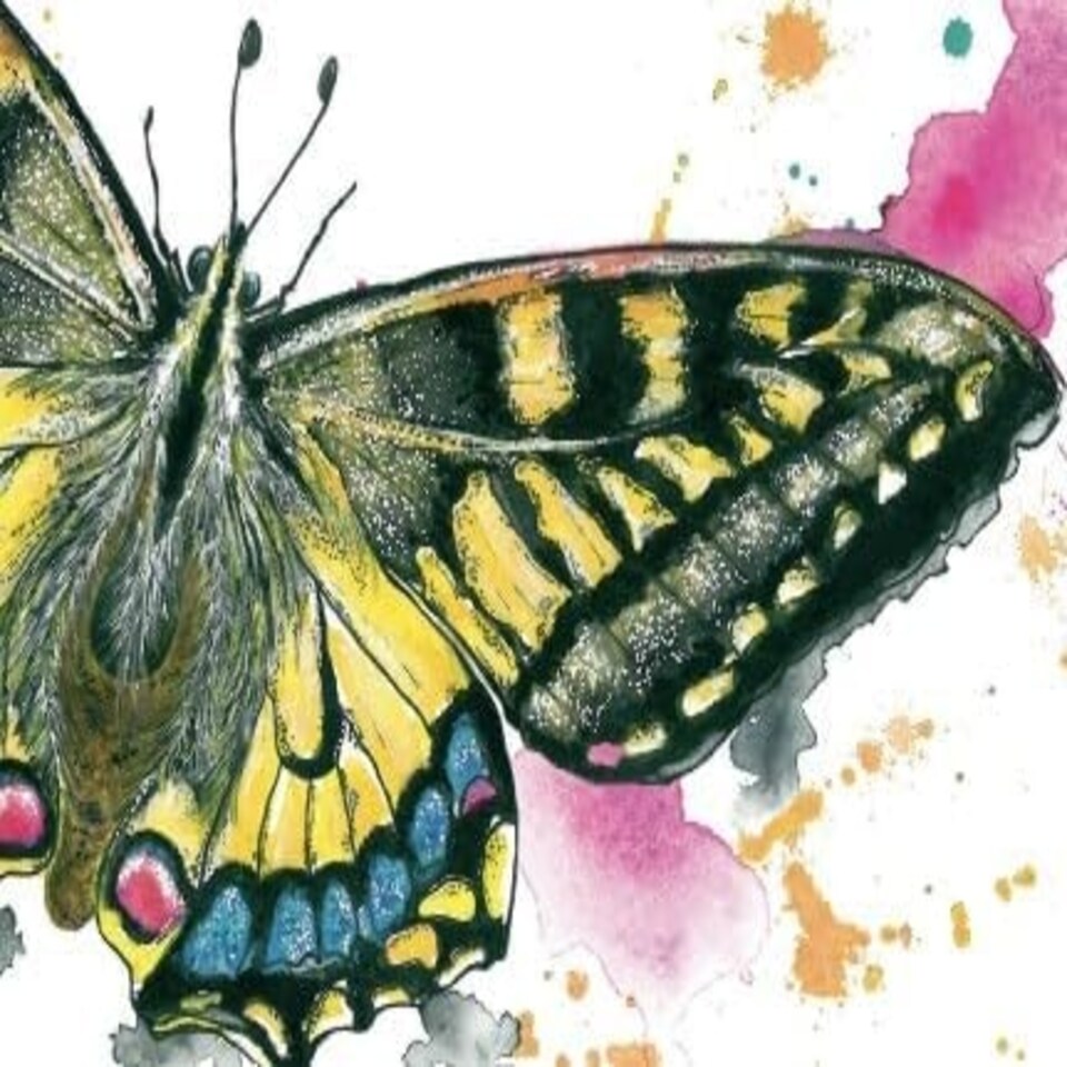 image 1 of Butterfly Wildlife Greeting Card - By Artist Lizze Grant