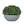 Green/Grey