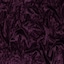 Aubergine - Selected