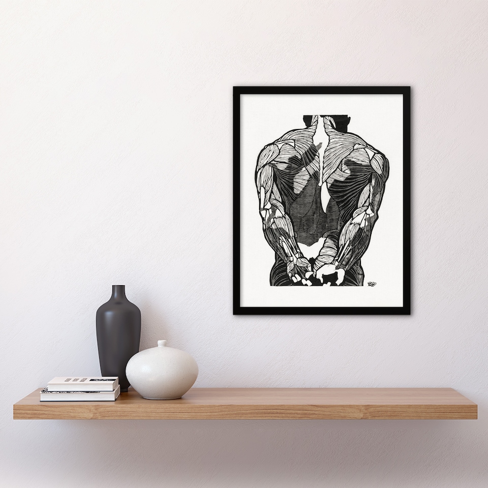 image 1 of Reijer Stolk Anatomical Study Of Mans Back Muscles Framed Wall Art Print A3