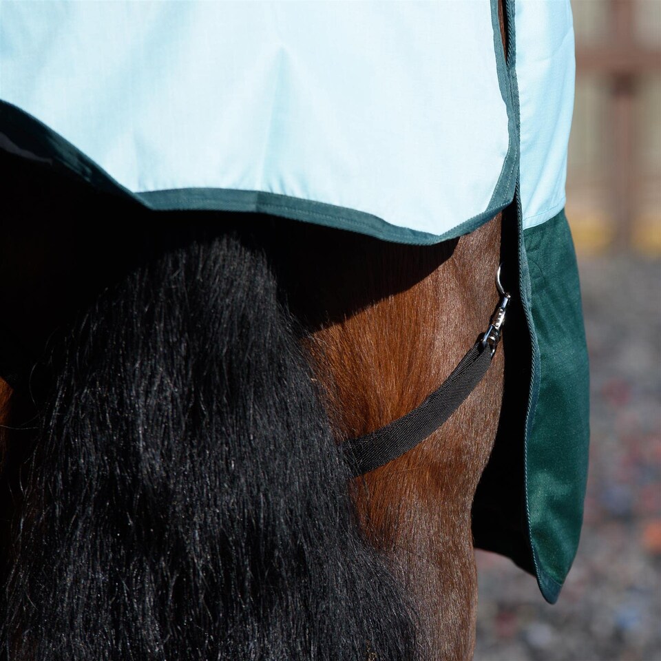 image 1 of eQuitack 600D Waterproof Horse Turnout Rug 0g No Fill Regular Neck Pista Aqua/Bottle Green 6'6''