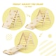 image 5 of COSTWAY 2-in-1 Triangle Climbing Set Wooden Toddler Climbing Triangle Ladder with Ramp