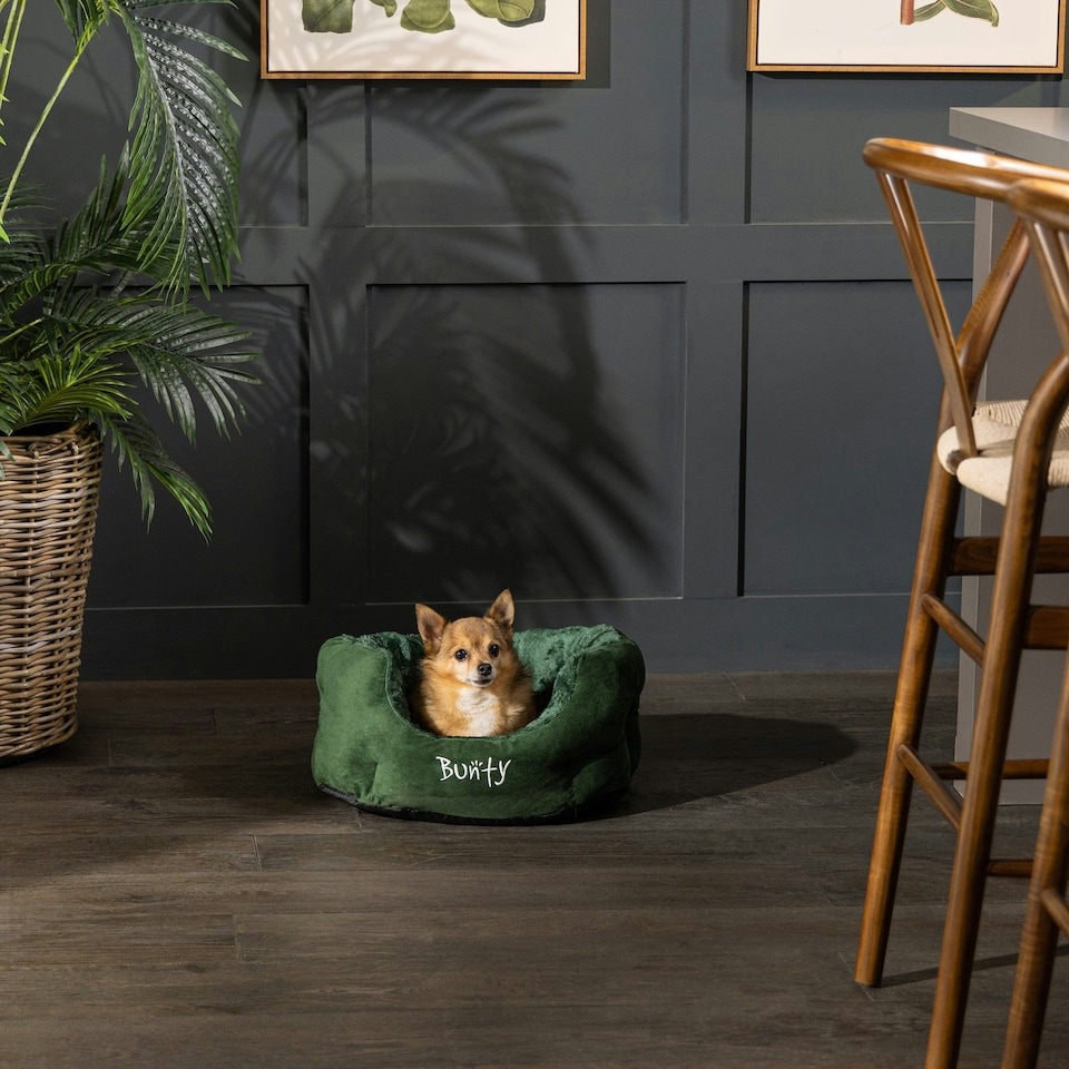 image 1 of Bunty Polar Dog Bed Green | XL