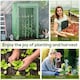 image 5 of Outsunny 100 x 50 x 150cm Greenhouse w/ Zipper Roll-up Door Outdoor Green | Green
