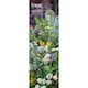 image 1 of RHS CHELSEA FLOWER SHOW 2026 SLIM CALENDAR