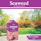 image 9 of Vitax Seaweed Plus with Sequestered Iron 500ml Liquid Fertiliser for Acid-Loving Plants Lawns & Garden Growth Tonic