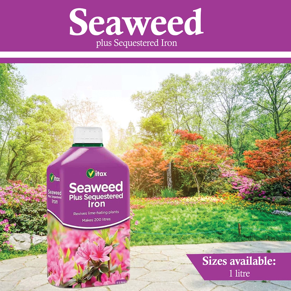 image 1 of Vitax Seaweed Plus with Sequestered Iron 500ml Liquid Fertiliser for Acid-Loving Plants Lawns & Garden Growth Tonic