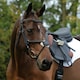 image 4 of Collegiate Comfitec Grackle Leather Horse Bridle - Black - Cob