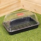 image 2 of 6 x 38cm Unheated Seed Starter Tray Grostart Midi Propagator Indoor Seedling Planter