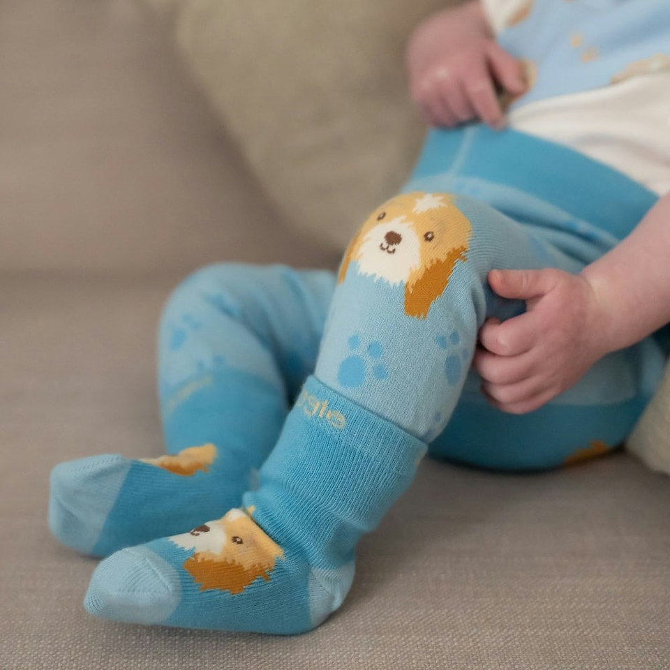 image 1 of Ziggle Leggings and Socks Set 6-12m - Cockapoo