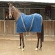 image 2 of Rhinegold Comfey Fleece Rug Red | Size: 6ft 0
Colour: Red