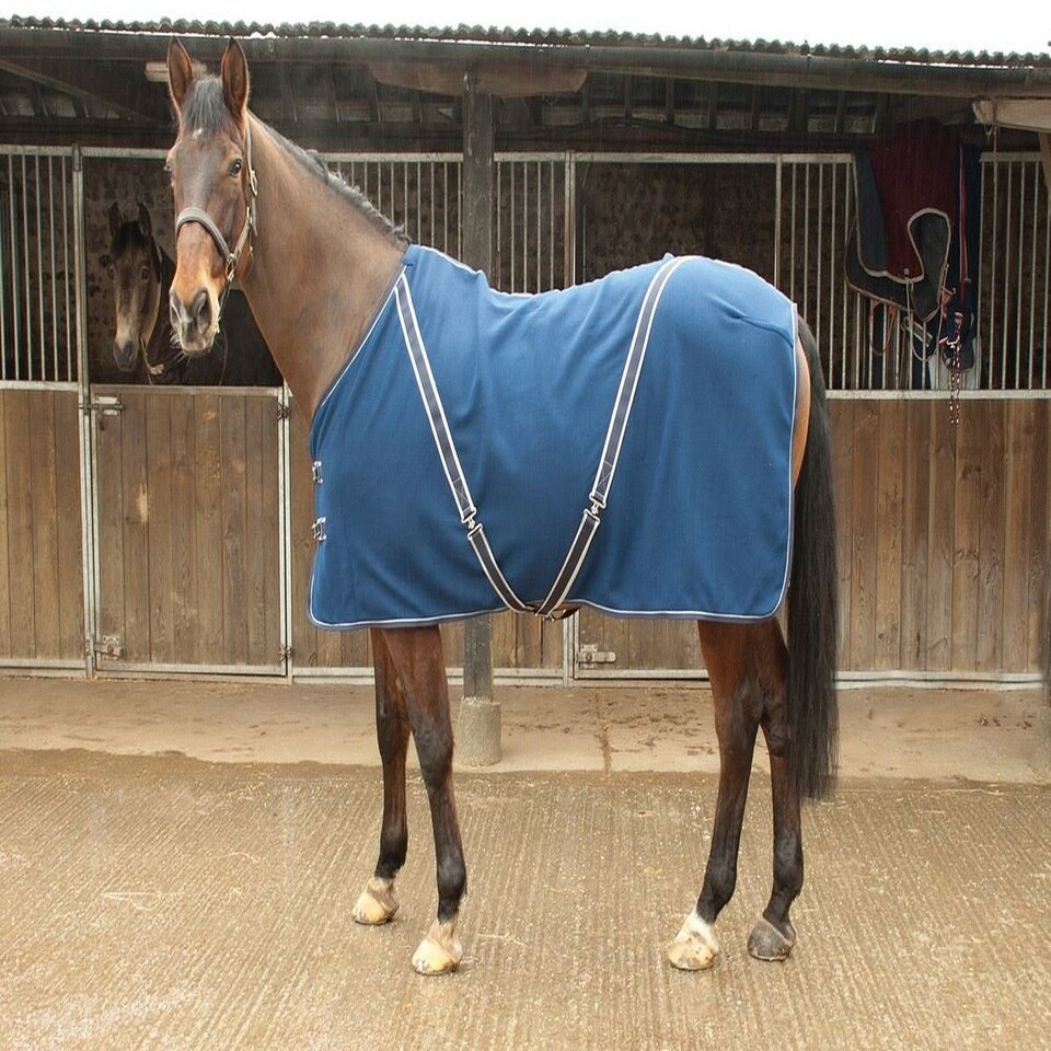 image 1 of Rhinegold Comfey Fleece Rug Red | Size: 6ft 0
Colour: Red