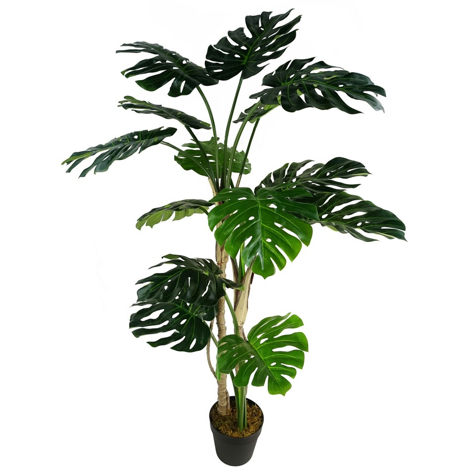 image 1 of Artificial Monstera Plant 150cm Luxury Cheese Plant 5ft Tall Botanik