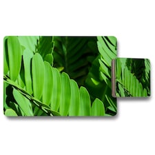 Natural dark green leaves, long slender green leaves (Placemat & Coaster Set)