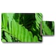 image 1 of Natural dark green leaves, long slender green leaves (Placemat & Coaster Set)