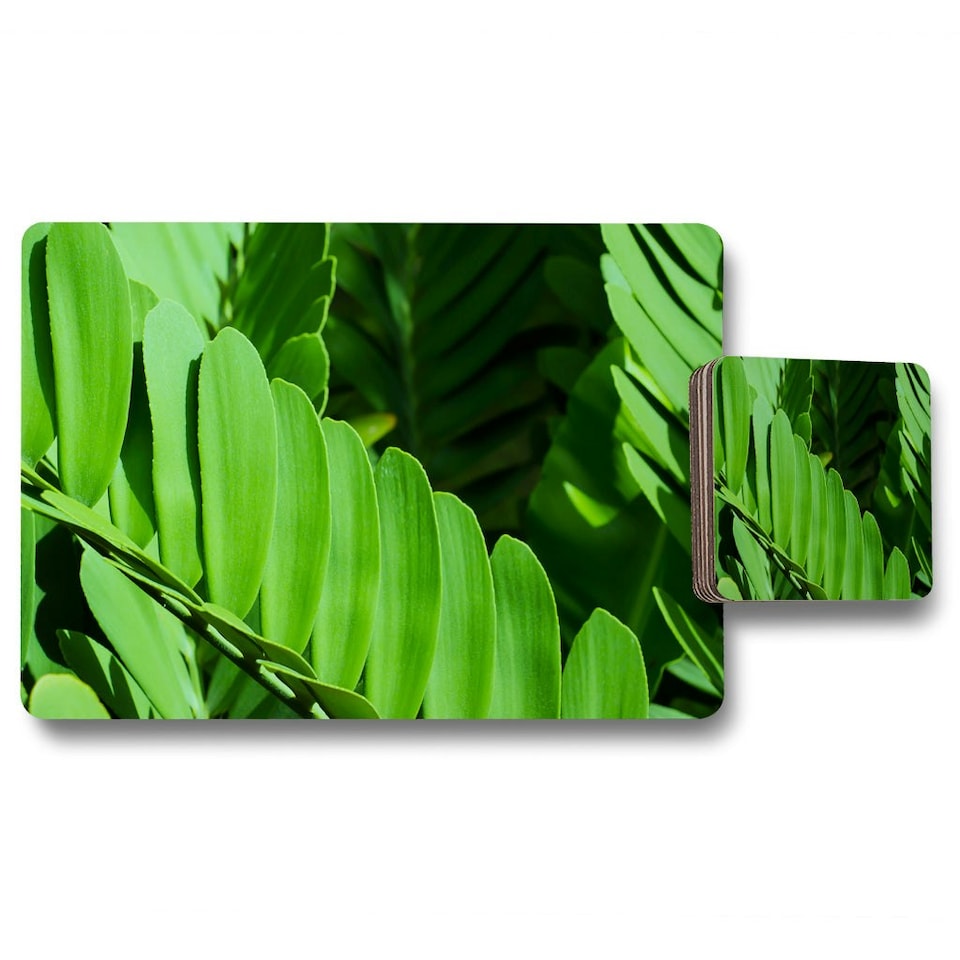 image 1 of Natural dark green leaves, long slender green leaves (Placemat & Coaster Set)