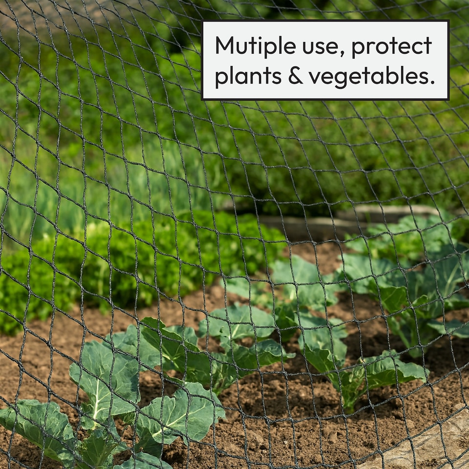 image 1 of Pisces 3 x 2m Pond Protection Netting with 10 Pegs