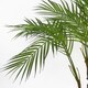 image 3 of 90cm Artificial Areca Palm Plant Realistic Detail Trunk  with Silver Metal Plater | Green | 3ft