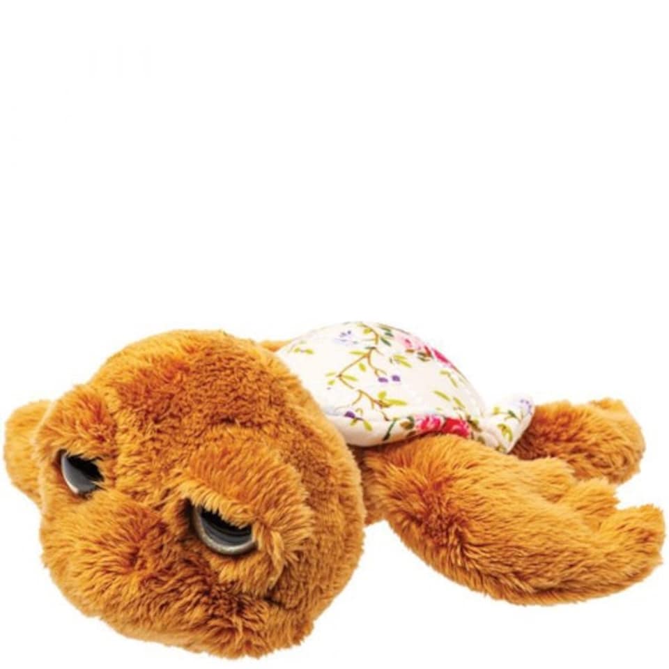 Small Orla Turtle