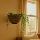 image 2 of Green Blade Rattan Hanging Basket - 30cm - Planter Flower Pot Plant Pot Hanger | Brown | Brown