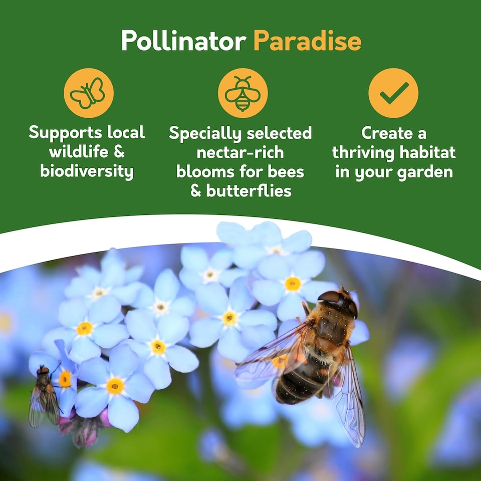 image 1 of Pronto Seed Wildflower Rainbow Garden Seed Shaker - 25m2 Garden Flower Seeds | Multi | Rainbow Garden 25m2 | 1