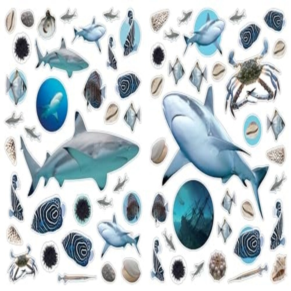 image 1 of Eyelike Stickers Ocean New - 18D Kids Activity & Sticker - PAPERBACK - 9780761169376
