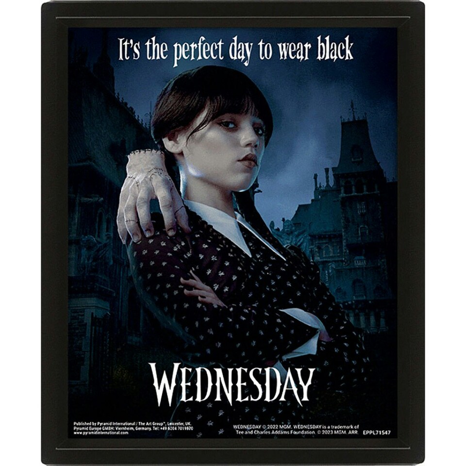 image 1 of Wednesday 3D Framed Poster - Black/White - One Size