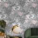 image 3 of Holden Décor Amazonia Sarasota Wallpaper - Grey/Pink - 10m x 53cm Grey