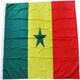 image 3 of Senegal Flag 5x3ft With Eyelets Multi