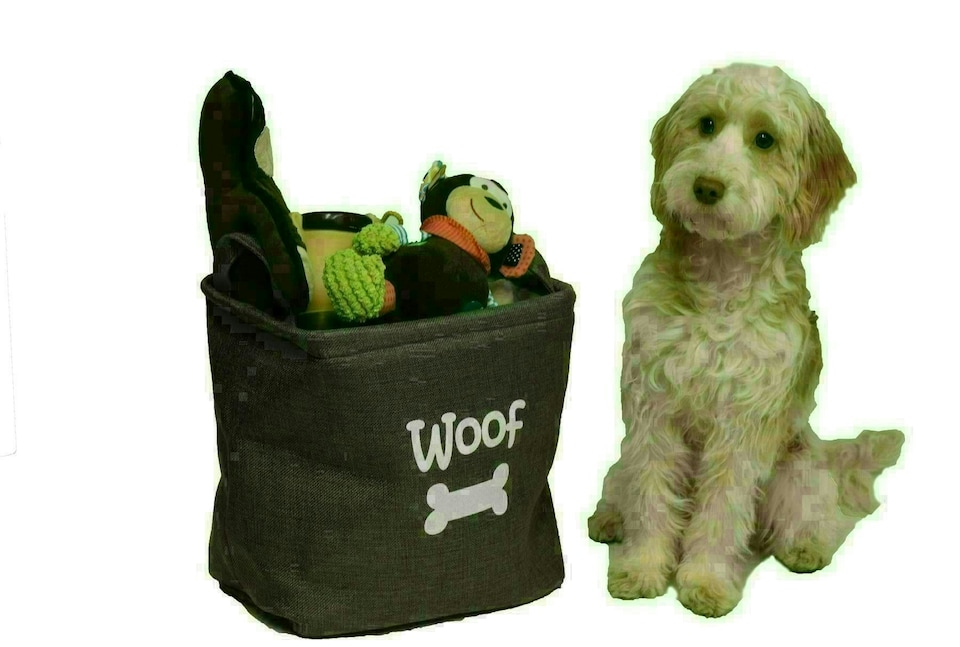 Forest Canvas Pet Dog Toy Storage Basket 33x7cm