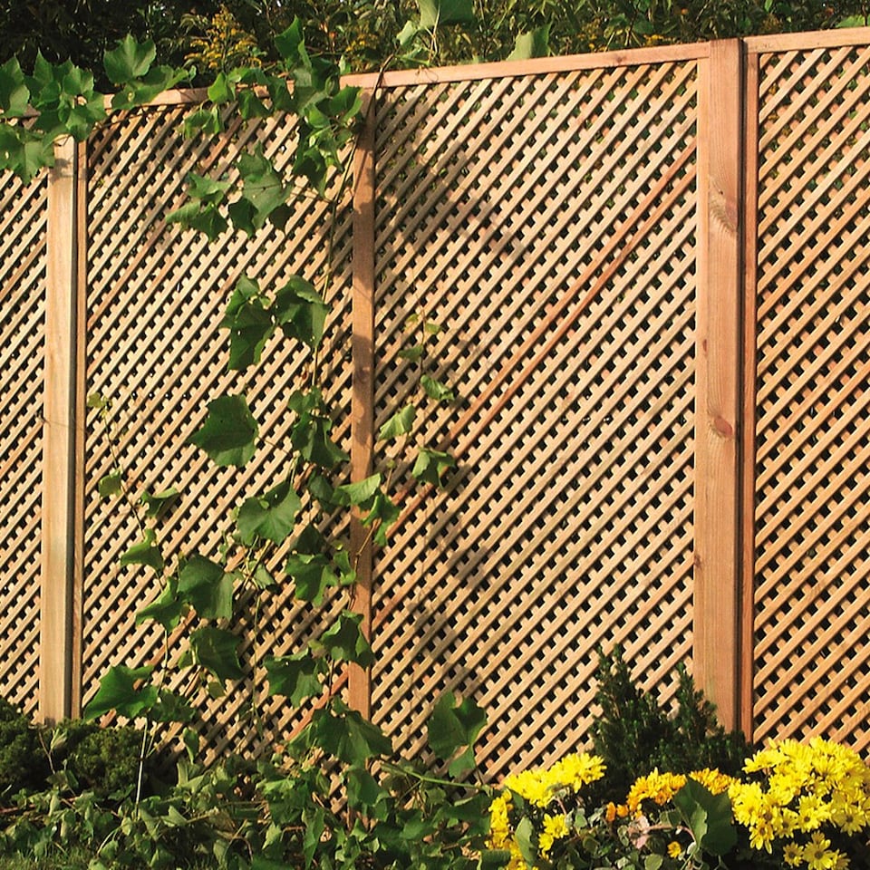 image 1 of Wall Diamond Trellis Privacy Garden Softwood Screening 1.83m x 1.80m