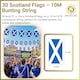 image 3 of 10m/33ft Scotland Flag Bunting for FIFA 2026 World Cup Football Event – 30 Double Sided Scottish Saltire Polyester Banner 14 x 21cm Football Party Decorations