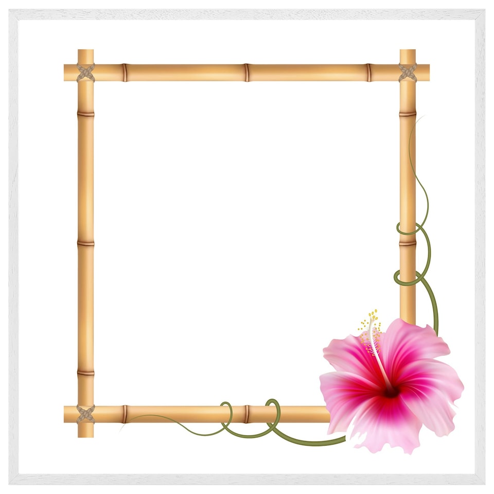 image 1 of Bamboo border (Picture Frame) White | L