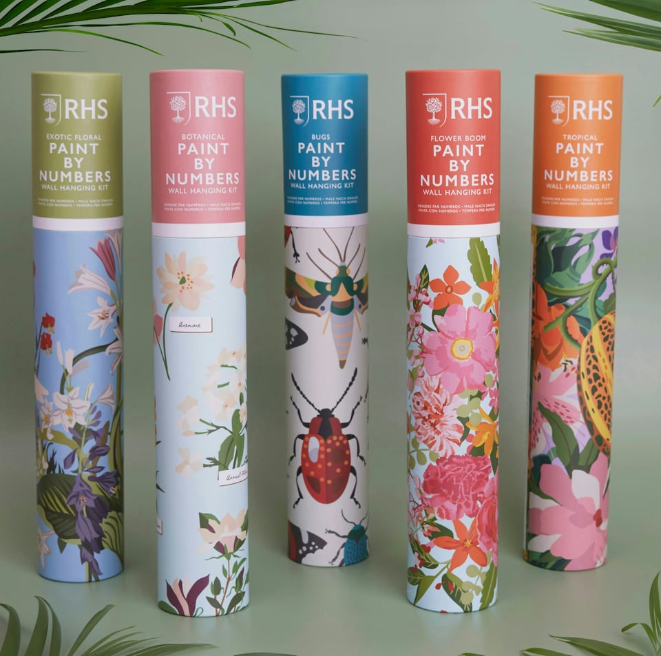 image 1 of RHS Paint by Numbers Kit, Flower Bloom, Multicoloured, 400 x 500mm