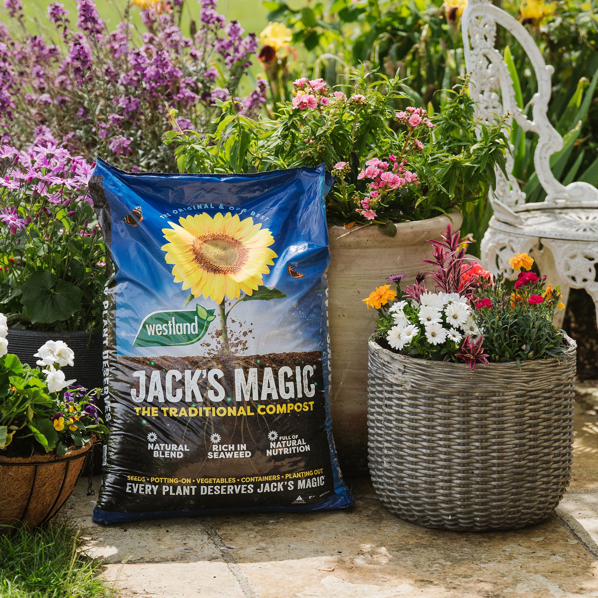 Westland Jack's Magic All-Purpose Compost 50L