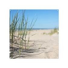 Grass in the sand dunes with the lake in the background Designer Splash Back | White