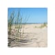 image 1 of Grass in the sand dunes with the lake in the background Designer Splash Back | White