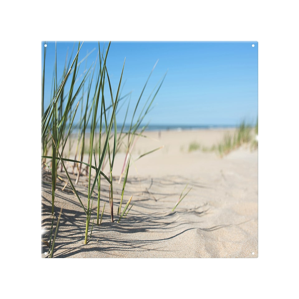 image 1 of Grass in the sand dunes with the lake in the background Designer Splash Back | White