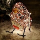 image 6 of 30cm Premier Soft Acrylic Outdoor Lit Christmas Robin with 60 Warm White LEDs