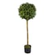 image 1 of Artificial Boxwood Buxus Ball Topiary Tree 120cm 4ft Real Wood Trunk Realistic Botanik | Green | One Size