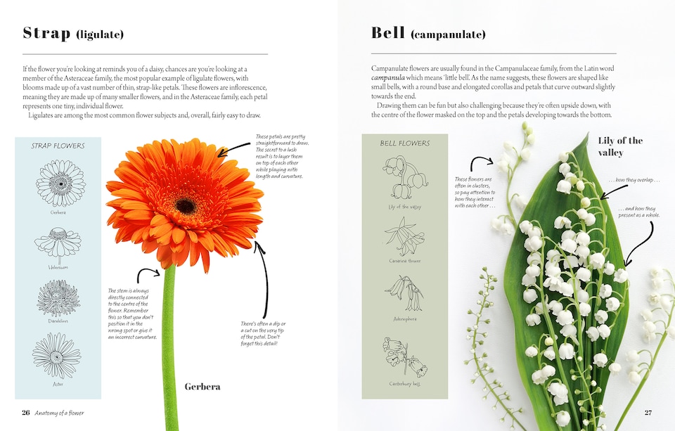 image 1 of The Kew Book of Drawing Flowers