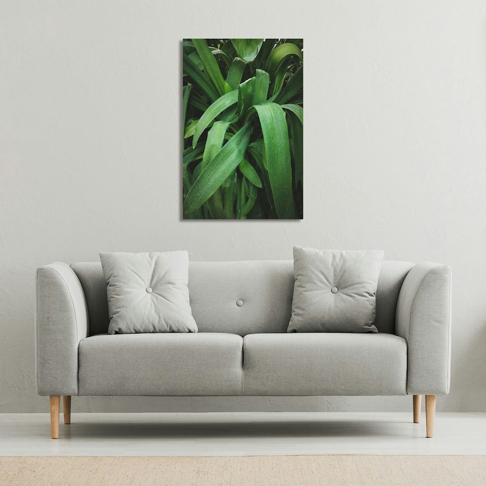 image 1 of Atmospheric background, Selective focus (Canvas Print)