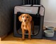 image 2 of Henry Wag Folding Fabric Travel Crate, Perfect For Home, Outdoor Use, Or Travel, Size Large | Grey | Grey | Large | 1
