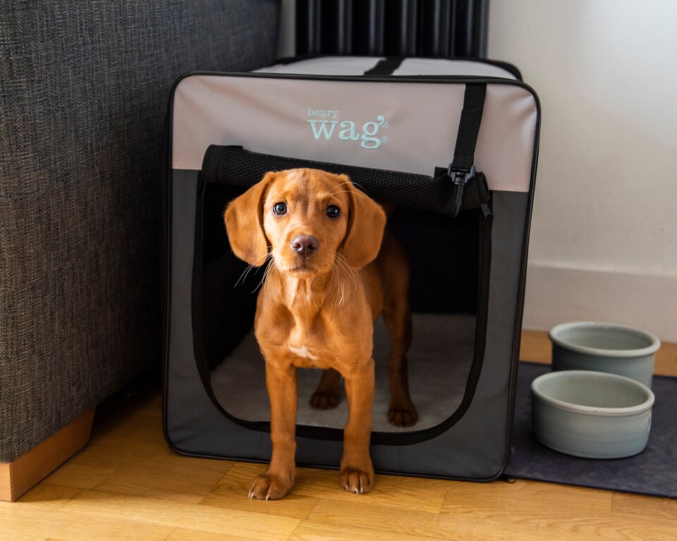 image 1 of Henry Wag Folding Fabric Travel Crate, Perfect For Home, Outdoor Use, Or Travel, Size Large | Grey | Grey | Large | 1
