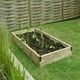 image 2 of Forest Garden Caledonian Wooden Large Raised Bed - 90 x 180cm