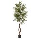 image 1 of Calabria Large Olive Tree - Plastic - L17 x W17 x H180 cm - Green