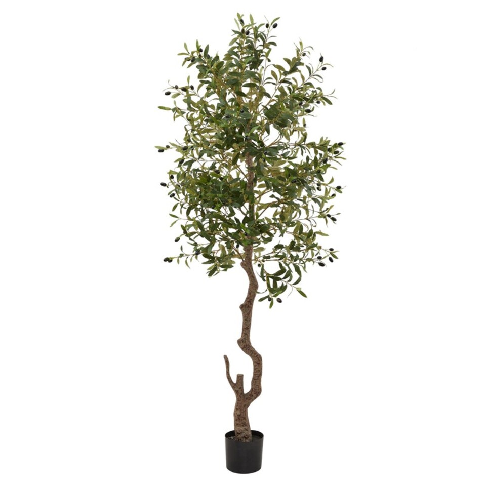 image 1 of Calabria Large Olive Tree - Plastic - L17 x W17 x H180 cm - Green