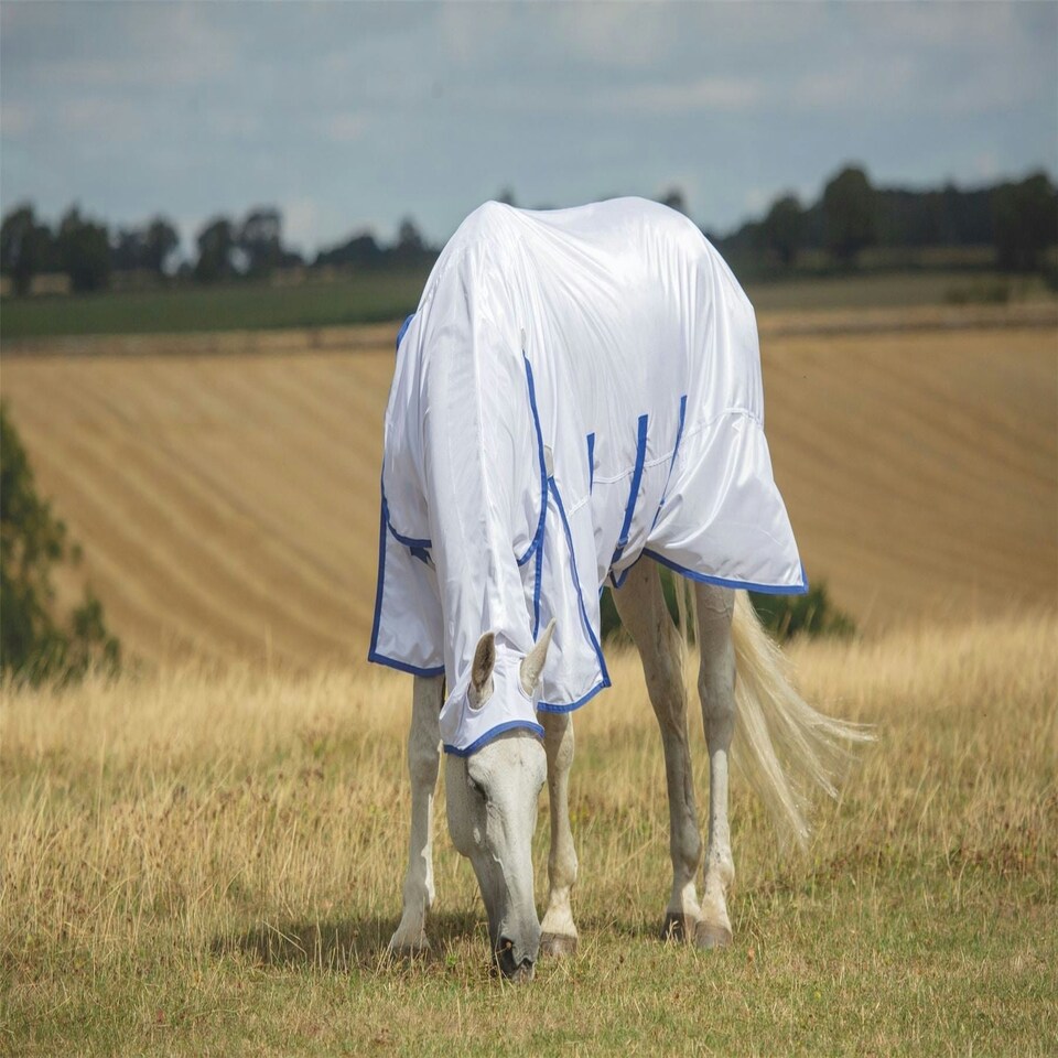 image 1 of Shires Highlander Plus Fly Sheet Combo White | Size: 66 Inch
Colour: White